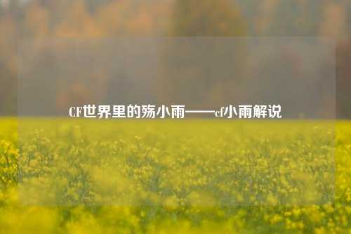 CF世界里的殇小雨——cf小雨解说