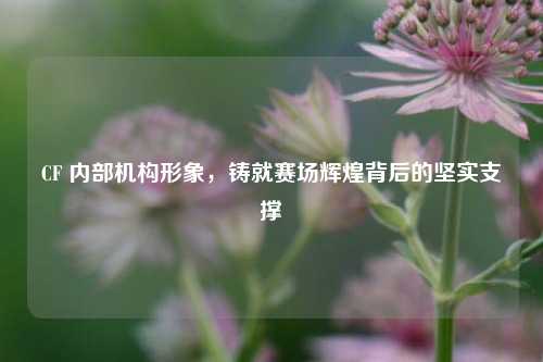 CF 内部机构形象，铸就赛场辉煌背后的坚实支撑