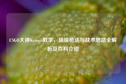 CSGO大神Kennys教学，顶级枪法与战术思路全解析及百科介绍