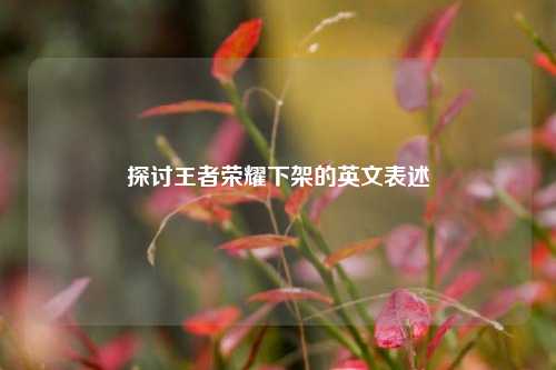探讨王者荣耀下架的英文表述