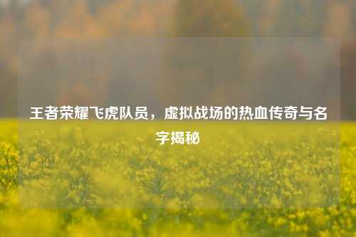 王者荣耀飞虎队员，虚拟战场的热血传奇与名字揭秘