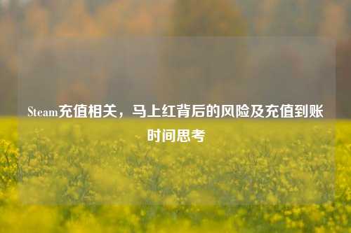 Steam充值相关,马上红背后的风险及充值到账时间思考