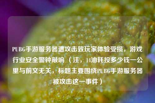 PUBG手游服务器遭攻击致玩家体验受损,游戏行业安全警钟敲响 (注,14油耗投多少钱一公里与前文无关,标题主要围绕PUBG手游服务器被攻击这一事件)