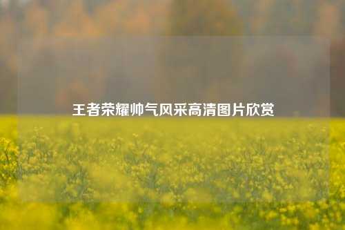 王者荣耀帅气风采高清图片欣赏