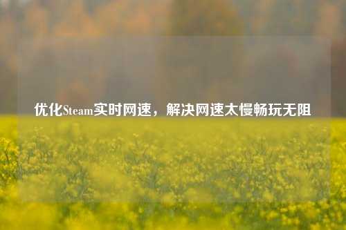 优化Steam实时网速,解决网速太慢畅玩无阻