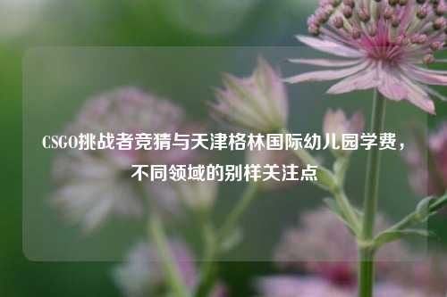CSGO挑战者竞猜与天津格林国际幼儿园学费,不同领域的别样关注点
