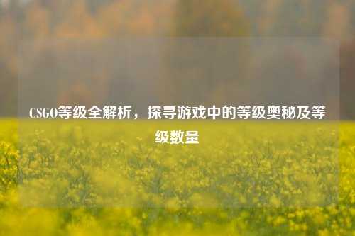 CSGO等级全解析,探寻游戏中的等级奥秘及等级数量