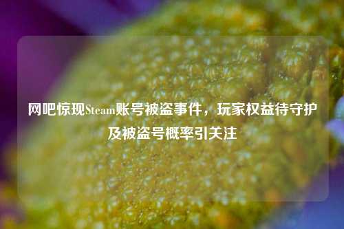 网吧惊现Steam账号被盗事件,玩家权益待守护及被盗号概率引关注
