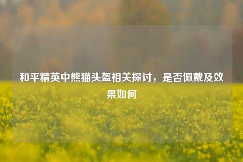和平精英中熊猫头盔相关探讨,是否佩戴及效果如何