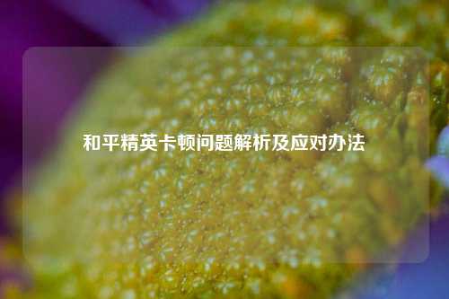 和平精英卡顿问题解析及应对办法