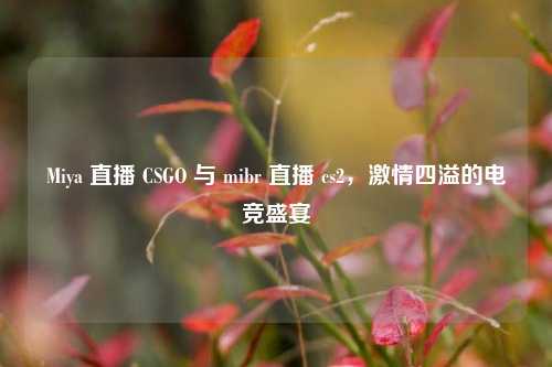 Miya 直播 CSGO 与 mibr 直播 cs2，激情四溢的电竞盛宴