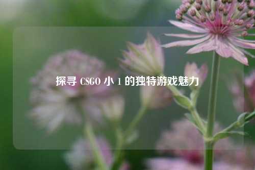 探寻 CSGO 小 1 的独特游戏魅力
