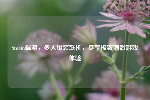 Steam端游,多人爆装联机,尽享极致刺激游戏体验