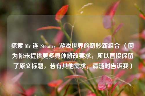 探索 Mr 连 Steam，游戏世界的奇妙新组合 （因为你未提供更多具体修改要求，所以直接保留了原文标题，若有其他需求，请随时告诉我）