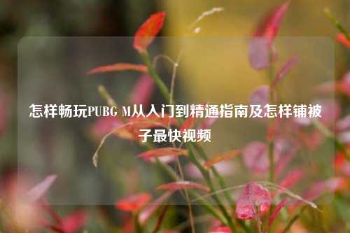 怎样畅玩PUBG M从入门到精通指南及怎样铺被子最快视频
