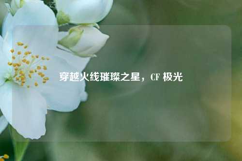 穿越火线璀璨之星,CF 极光