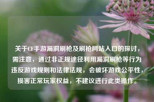 关于CF手游漏洞刷枪及刷枪网站入口的探讨,需注意,通过非正规途径利用漏洞刷枪等行为违反游戏规则和法律法规,会破坏游戏公平性,损害正常玩家权益,不建议进行此类操作。
