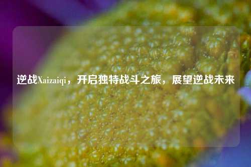 逆战Xaizaiqi,开启独特战斗之旅,展望逆战未来