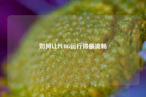如何让PUBG运行得最流畅
