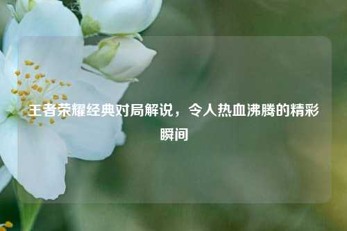 王者荣耀经典对局解说,令人热血沸腾的精彩瞬间