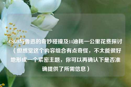 CSGO与鲁迅的奇妙碰撞及14油耗一公里花费探讨 (但感觉这个内容组合有点奇怪,不太能很好地形成一个紧密主题,你可以再确认下是否准确提供了所需信息)