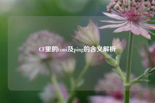 CF里的timi及ping的含义解析