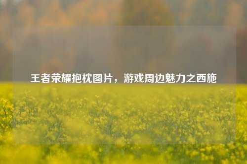王者荣耀抱枕图片,游戏周边魅力之西施