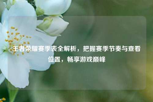 王者荣耀赛季表全解析,把握赛季节奏与查看位置,畅享游戏巅峰