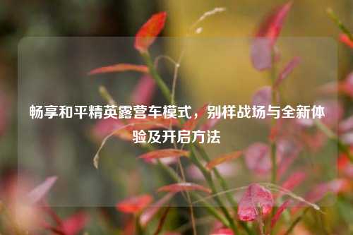 畅享和平精英露营车模式，别样战场与全新体验及开启方法