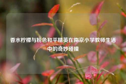 香水柠檬与粉色和平精英在南京小学教师生活中的奇妙碰撞