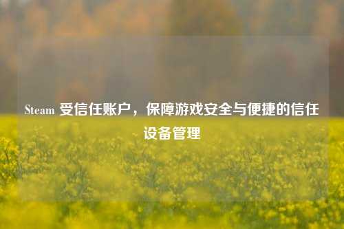 Steam 受信任账户,保障游戏安全与便捷的信任设备管理