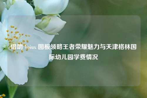 借助 Voiux 图板领略王者荣耀魅力与天津格林国际幼儿园学费情况