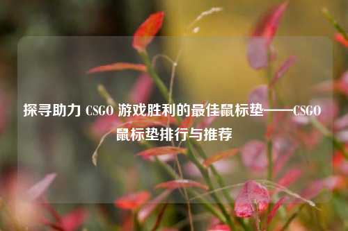 探寻助力 CSGO 游戏胜利的最佳鼠标垫——CSGO 鼠标垫排行与推荐