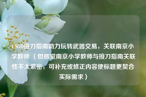 CSGO接刀指南助力玩转武器交易,关联南京小学教师 (但感觉南京小学教师与接刀指南关联性不太紧密,可补充或修正内容使标题更契合实际需求)
