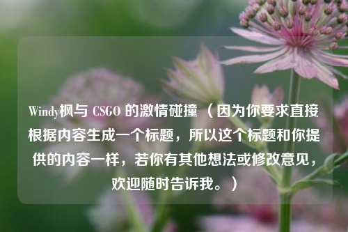 Windy枫与 CSGO 的激情碰撞 (因为你要求直接根据内容生成一个标题,所以这个标题和你提供的内容一样,若你有其他想法或修改意见,欢迎随时告诉我。)