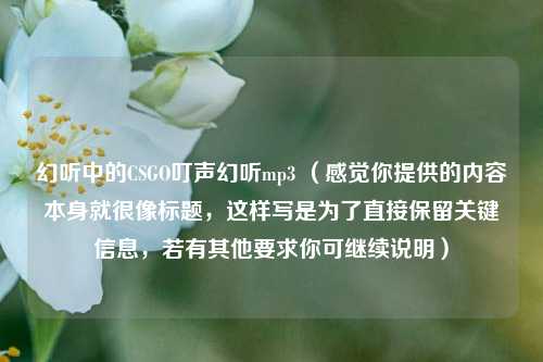 幻听中的CSGO叮声幻听mp3 (感觉你提供的内容本身就很像标题,这样写是为了直接保留关键信息,若有其他要求你可继续说明)