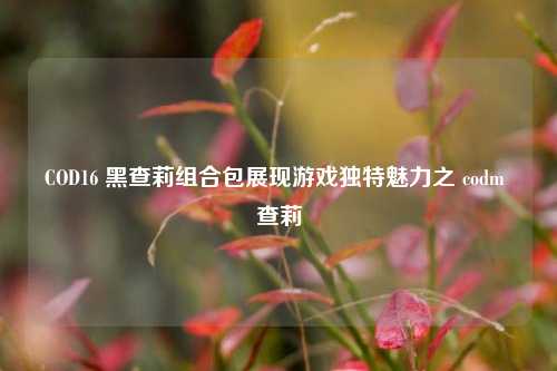 COD16 黑查莉组合包展现游戏独特魅力之 codm 查莉