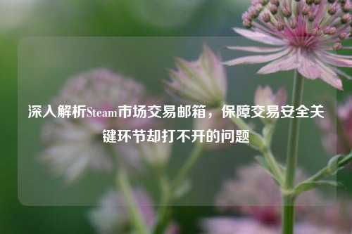 深入解析Steam市场交易邮箱,保障交易安全关键环节却打不开的问题