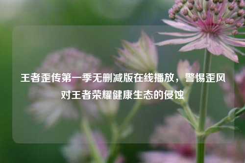 王者歪传第一季无删减版在线播放，警惕歪风对王者荣耀健康生态的侵蚀