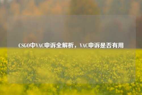 CSGO中VAC申诉全解析，VAC申诉是否有用