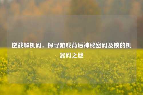 逆战解机码,探寻游戏背后神秘密码及锁的机器码之谜