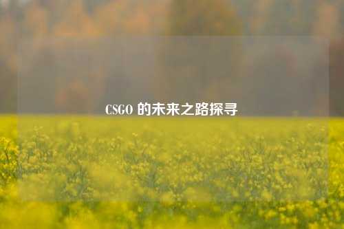 CSGO 的未来之路探寻