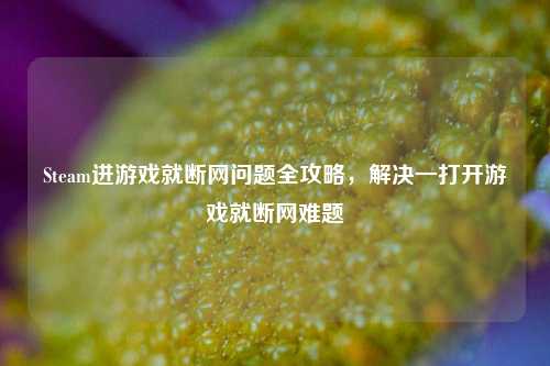 Steam进游戏就断网问题全攻略,解决一打开游戏就断网难题