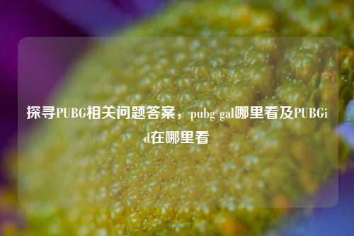 探寻PUBG相关问题答案，pubg gal哪里看及PUBGid在哪里看