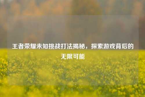 王者荣耀未知挑战打法揭秘,探索游戏背后的无限可能