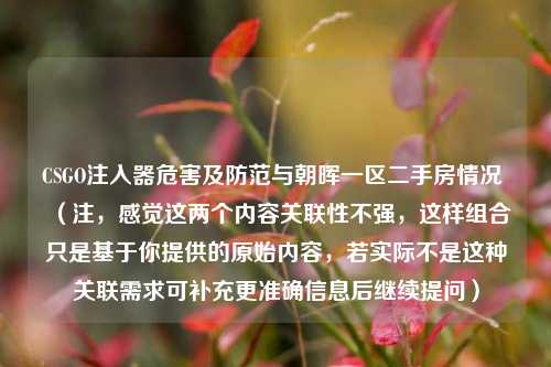 CSGO注入器危害及防范与朝晖一区二手房情况 （注，感觉这两个内容关联性不强，这样组合只是基于你提供的原始内容，若实际不是这种关联需求可补充更准确信息后继续提问）