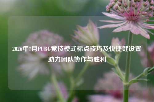 2026年7月PUBG竞技模式标点技巧及快捷键设置助力团队协作与胜利