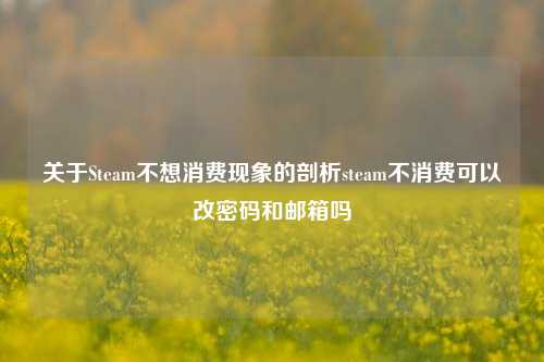 关于Steam不想消费现象的剖析steam不消费可以改密码和邮箱吗