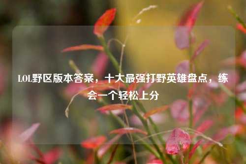 LOL野区版本答案,十大最强打野英雄盘点,练会一个轻松上分