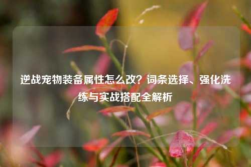 逆战宠物装备属性怎么改？词条选择、强化洗练与实战搭配全解析